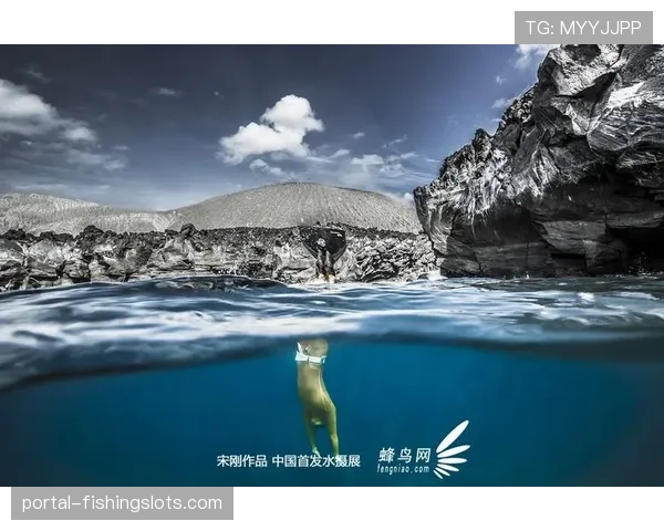 水下镜头背后的故事：专访法国队生物力学分析师团队